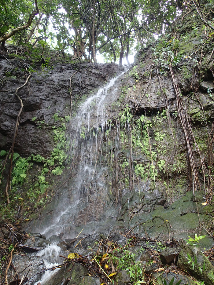 Waterfall sighting