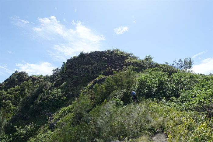 Mariner's Ridge Summit