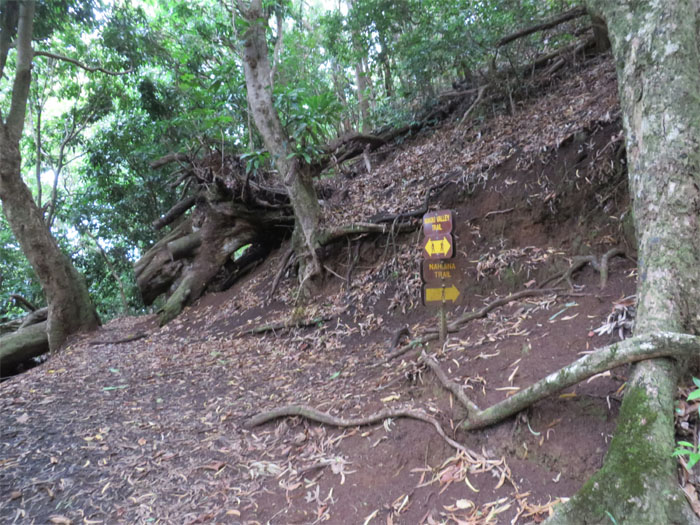 Nahuina Trail