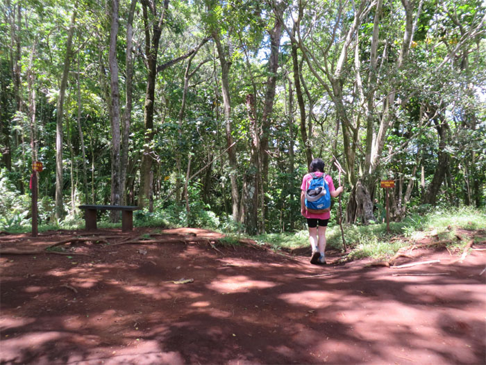 Maunalaha Trail