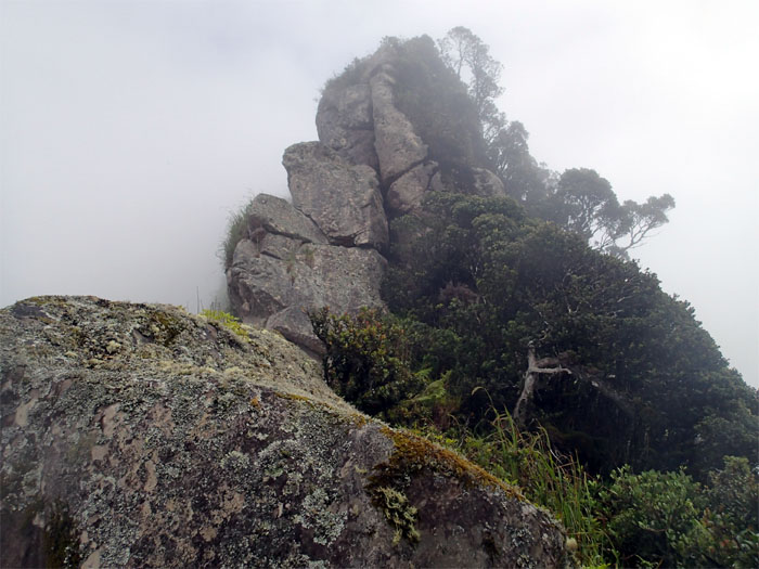 Boulders in the mist