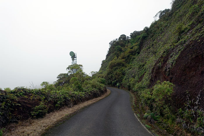 Mount Ka'ala Road