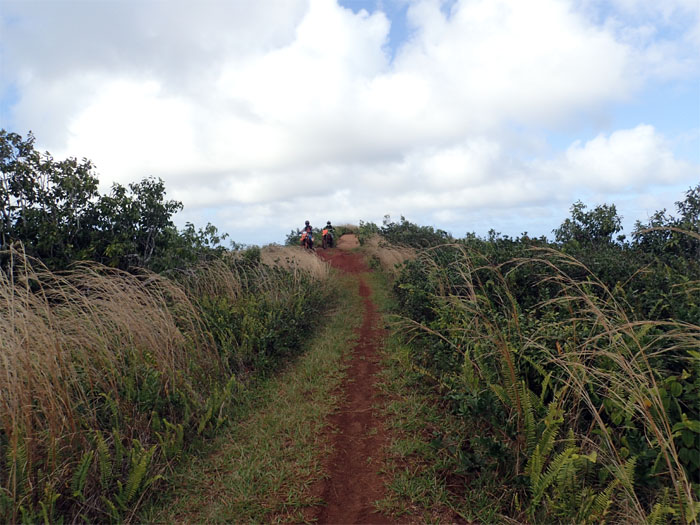Malaekahana Trail
