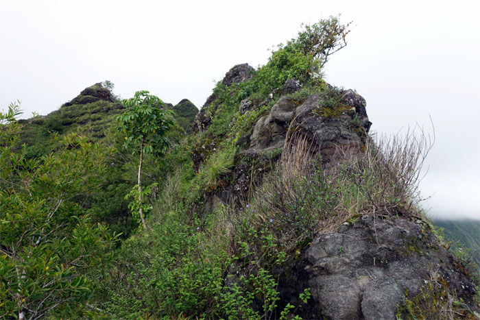 Bear Claw Ridge