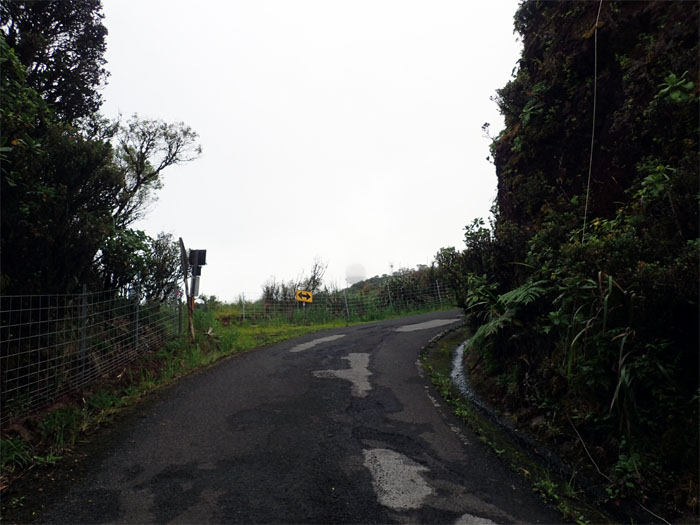 Mount Ka'ala Road