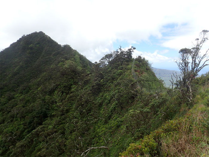 Waianae Summit Trail