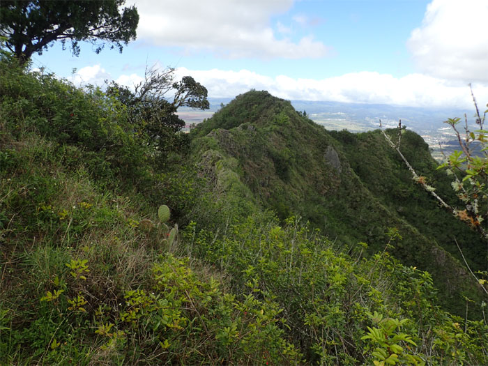 Waianae Summit Trail