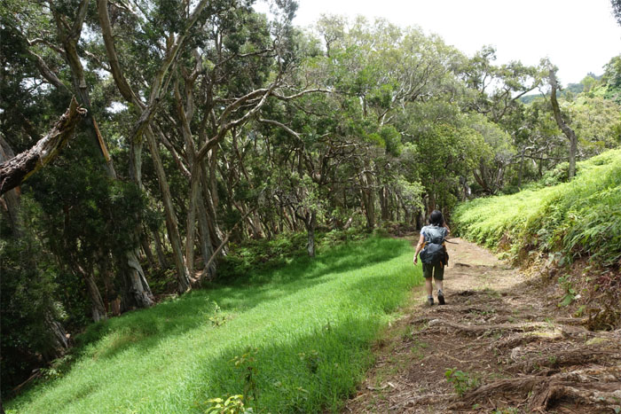 Kaunala Trail