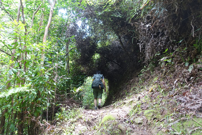 Kaunala Trail