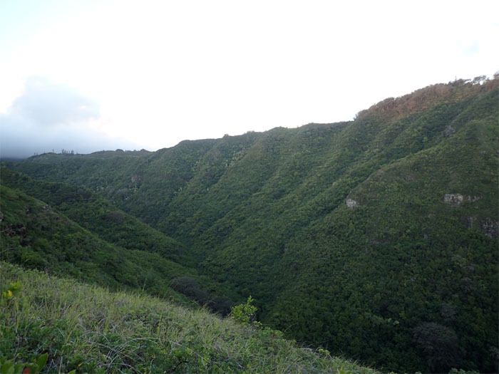 Mau'umae Trail