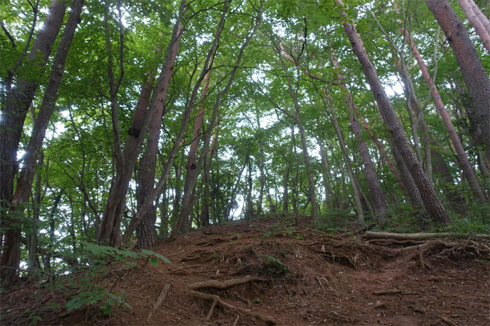 Ougiyama Trail