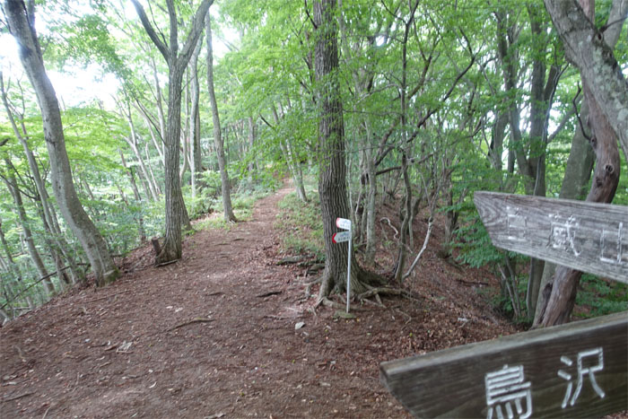 Ougiyama Trail