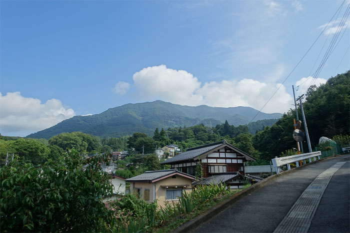 Torisawa