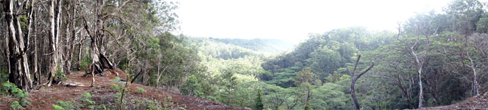 Wahiawa Hills