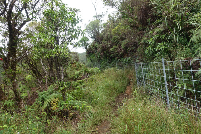 Poamoho Trail