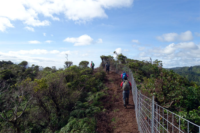 Schofield-Waikane Trail