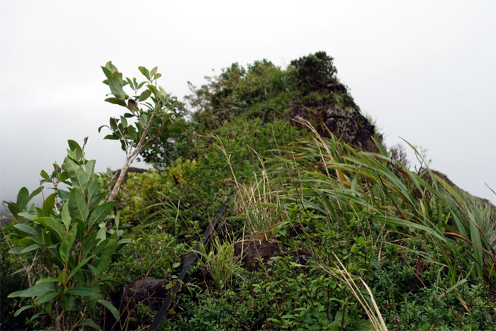 Piliwale Ridge