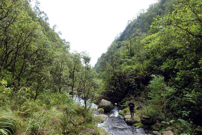 Wailua Stream