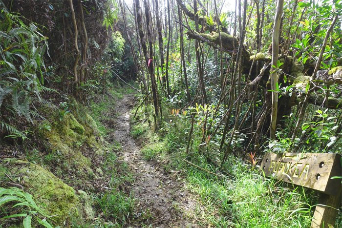 Pupukea Trail