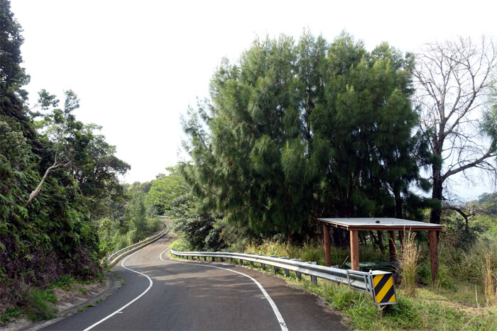 Paalaa Uka Pupukea Road
