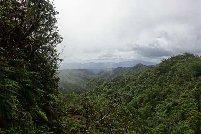 Kipapa Trail