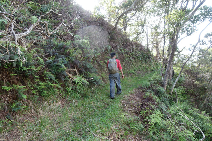Kipapa Trail