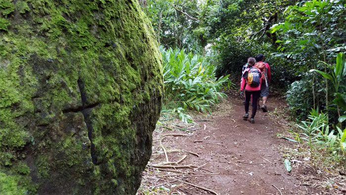Kalawahine Trail