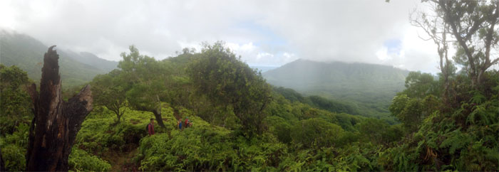 Pauao Ridge