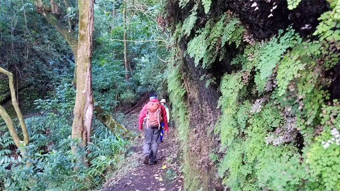 Kalawahine Trail