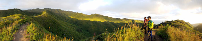 Hawaii Loa Trail