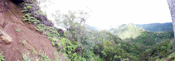 Aiea Ridge Trail