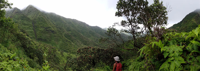 Kulana'ahane Trail