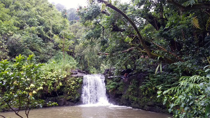 Lower Waikamoi Falls