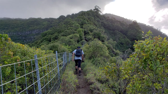 Waianae Ka'ala Trail