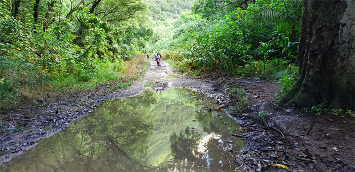 Kamananui Valley Trail