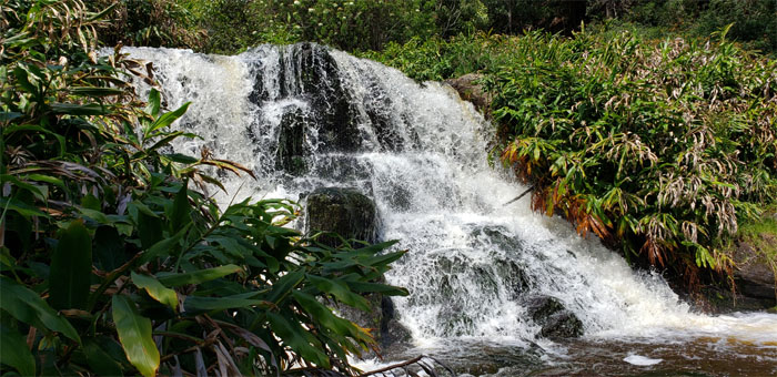 Waipo'o Falls Trail