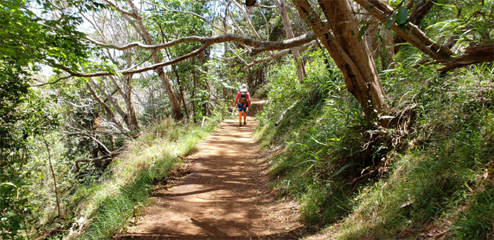 Waipo'o Falls Trail