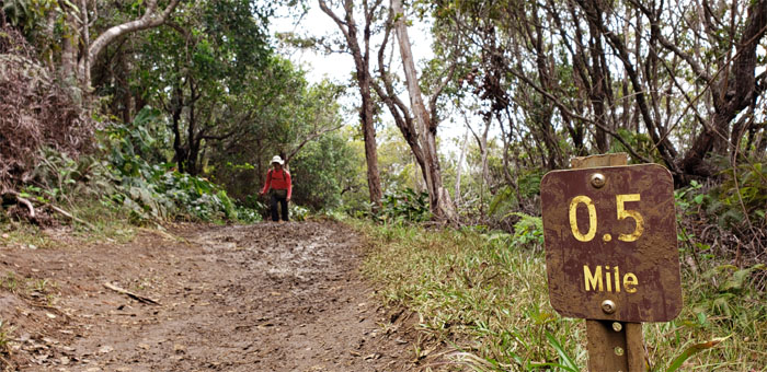 Awaawapuhi Trail