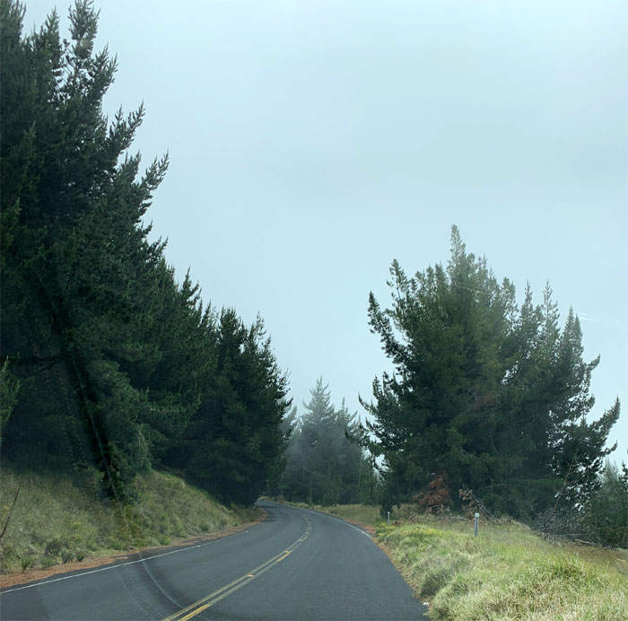 Mauna Kea Road