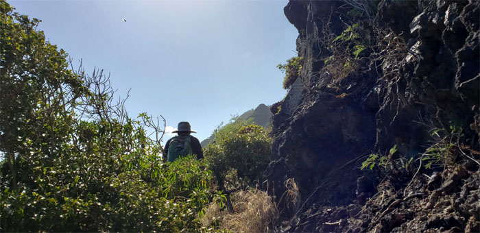 Manini Pali Trail