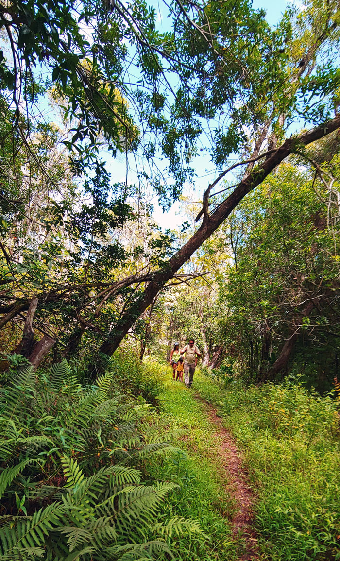 Mokuleia Trail