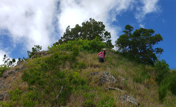 Kamaile'unu Ridge