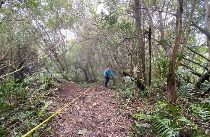 Aniani Nui Ridge Trail