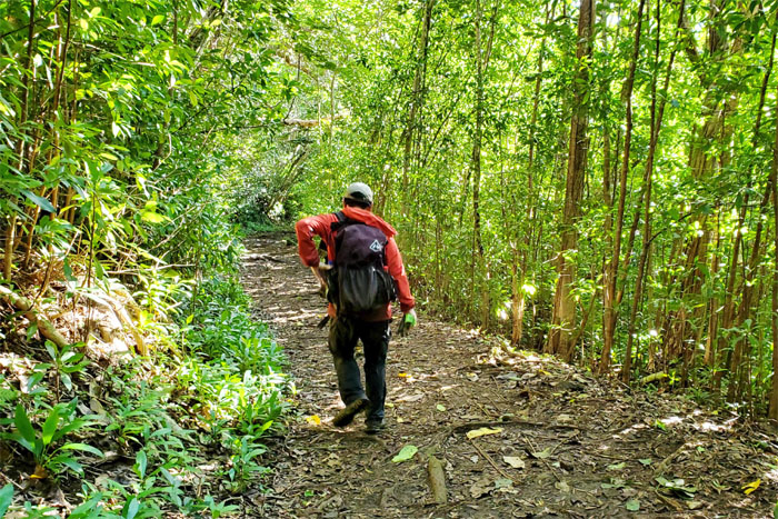 Pu'u Pia Trail