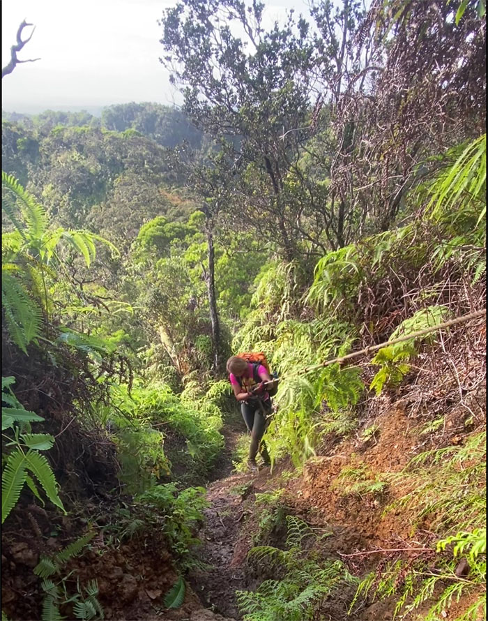 Manana Trail