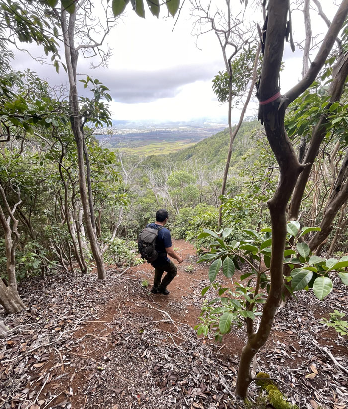 Kaua Trail