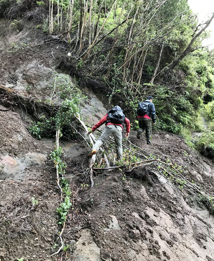 Poamoho Trail