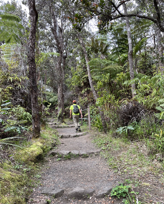 Kilauea Iki Trail