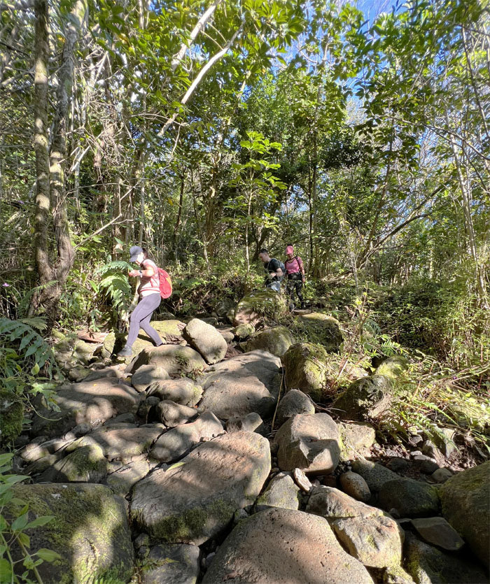 Maunawili Demo Trail