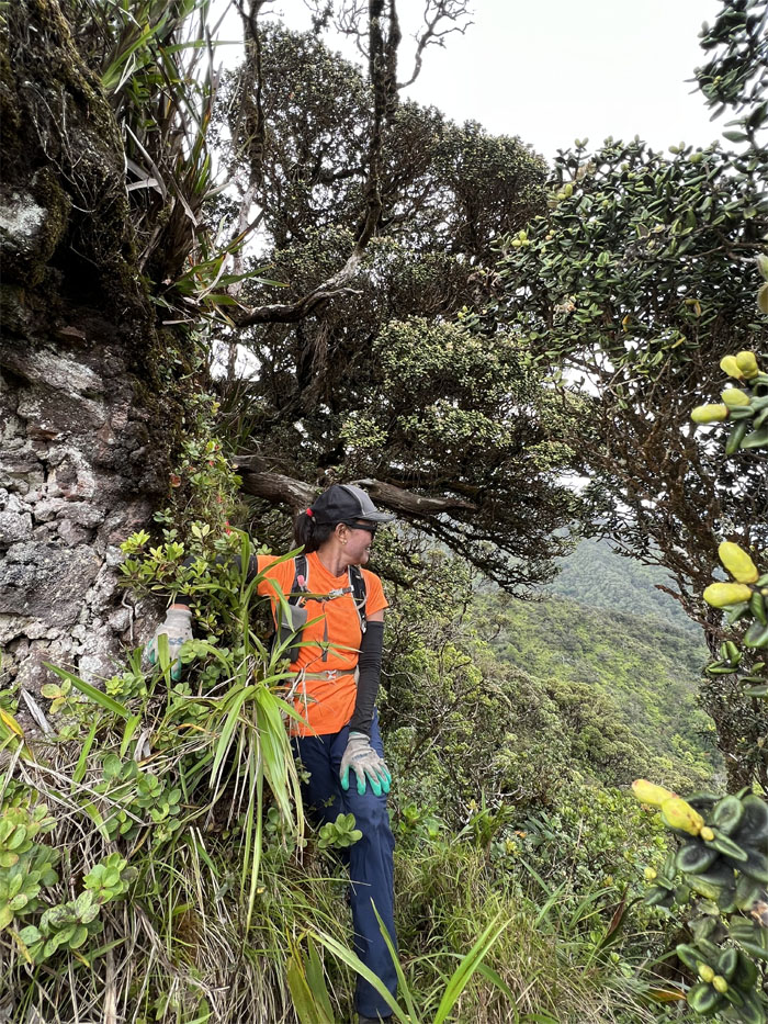 Waianae Summit Trail (WST)